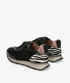 Deportivos Hispanitas ZHI254312 en negro