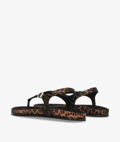 Sandalias CORINA M6419 en leopardo