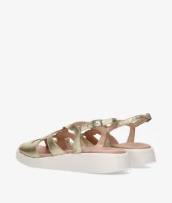 Sandalias Wonders C-6550 en platino