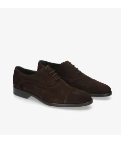 Zapatos de vestir HOBBS- DON 10731 en serraje marrón