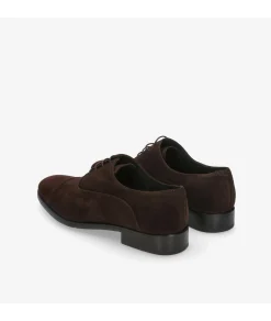 Zapatos de vestir HOBBS- DON 10731 en serraje marrón