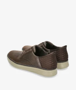 Zapatos Skechers 205279 en marrón